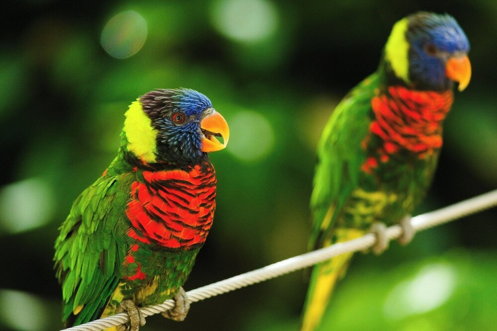 Фото Hotel Indigo San Diego Del Mar, an Ihg Hotel