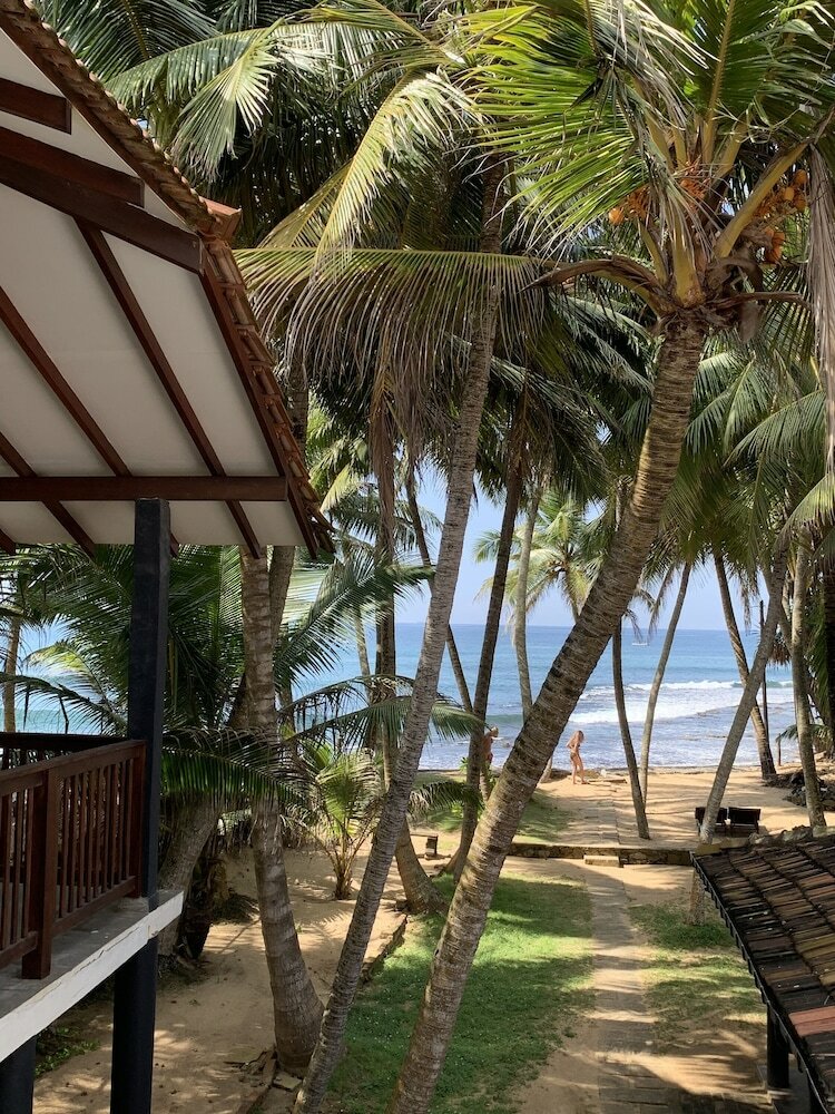 Фото Curry Bowl Restaurant & Turtles Rest