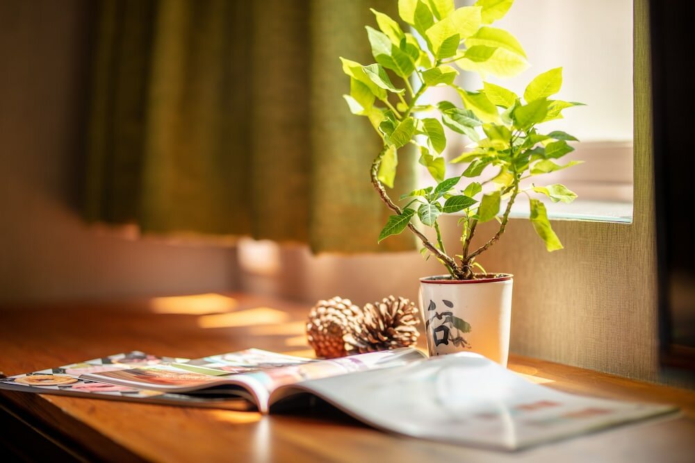 Фото Goodmore Hotel