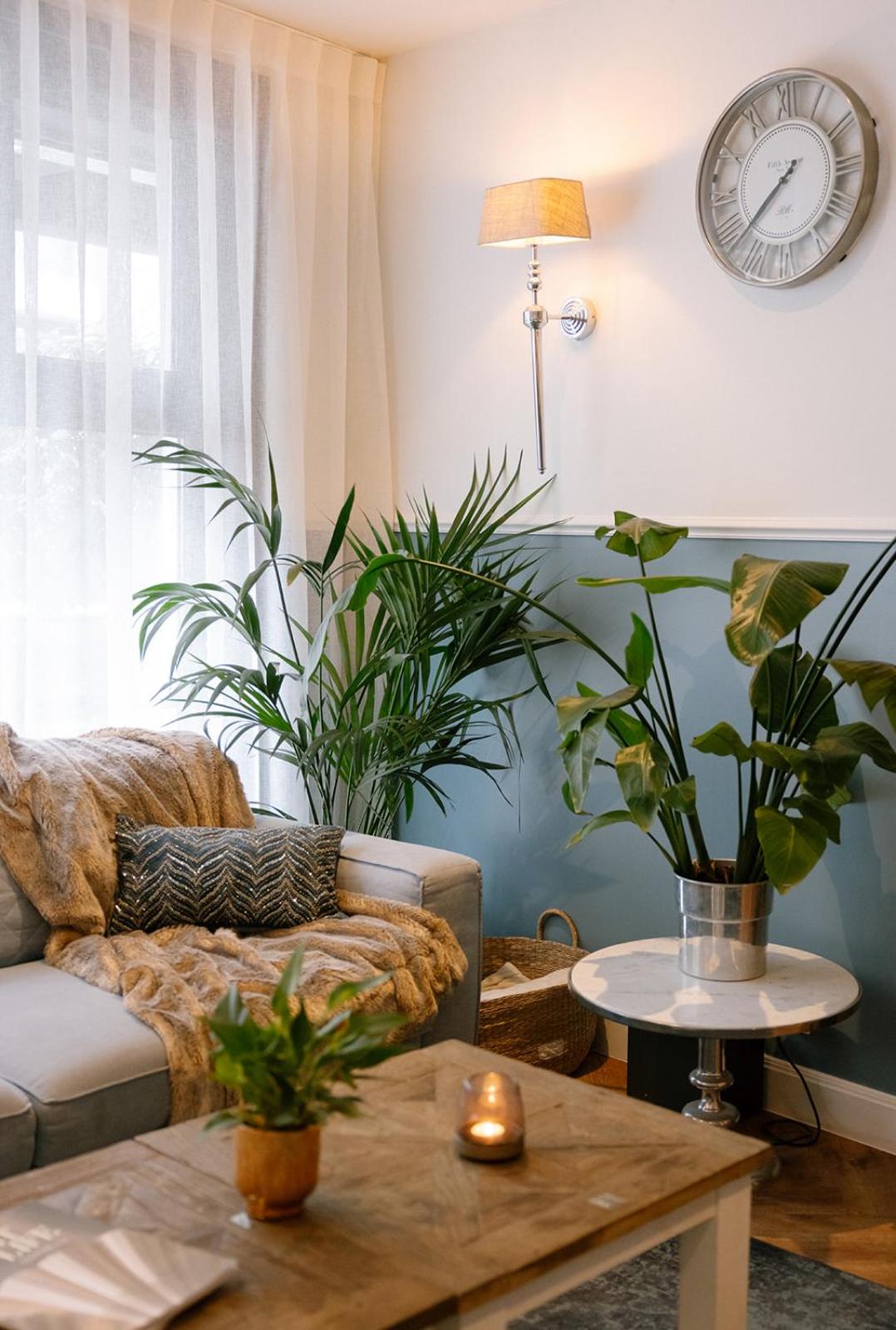 Фото Hotel Cocoon