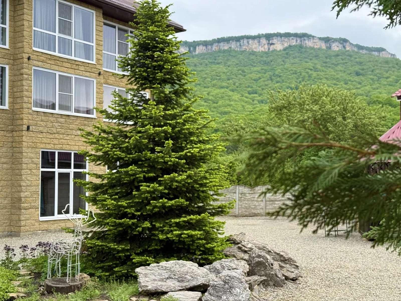 Фото Дом Кролика