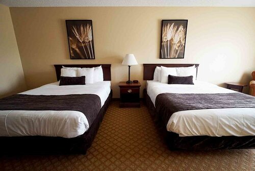 Гостиница Town & Country Inn and Suites в Куинси
