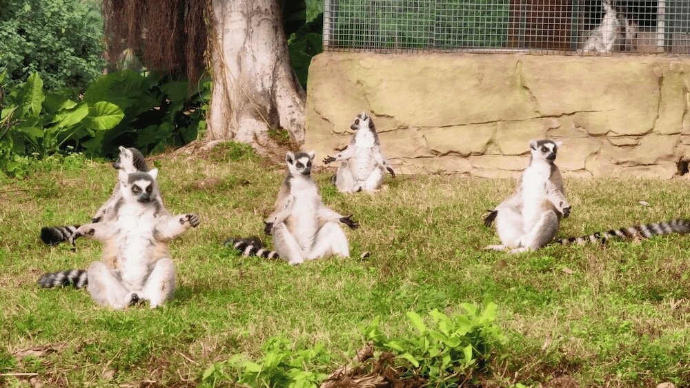 Фото Pullman Dongguan Forum