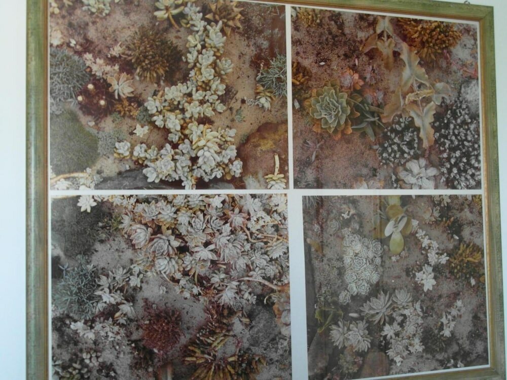 Фото Abitazione Pigneto bed & breakfast