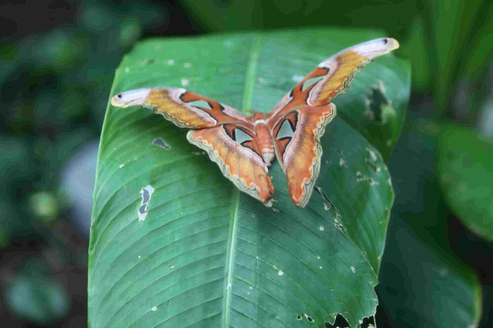 Фото Comfort Inn Cambridge