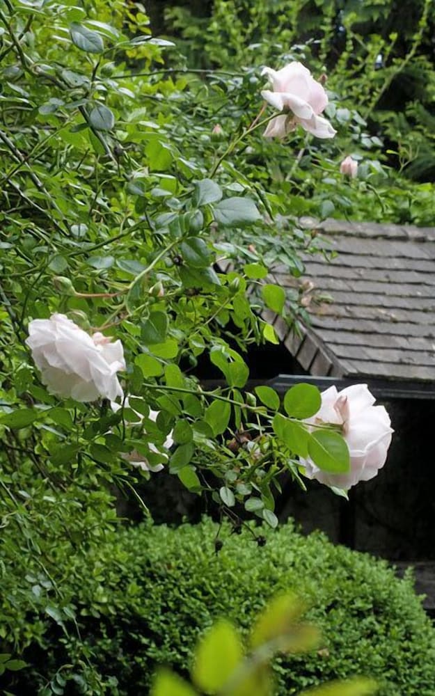 Фото Hotel Sonnenbichl