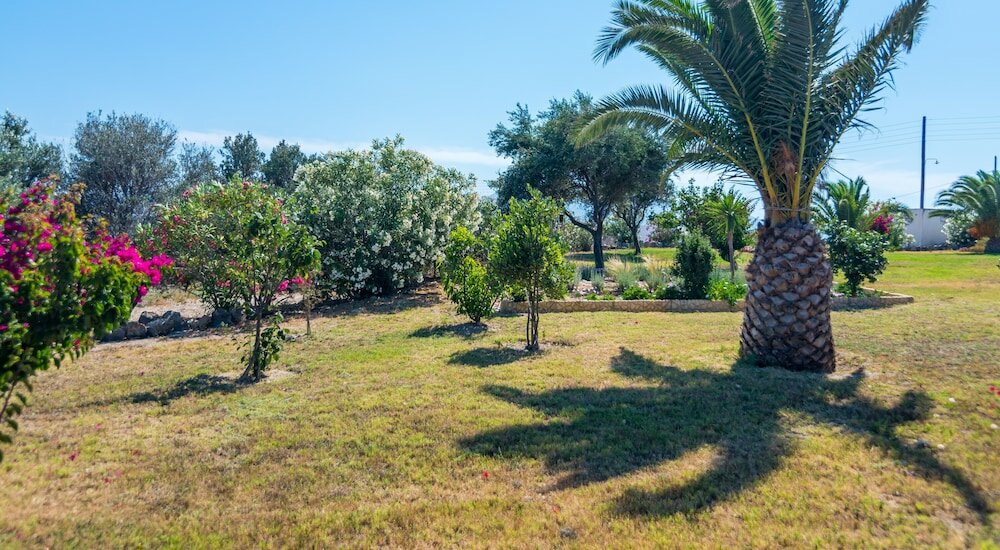 Фото Konstantinos