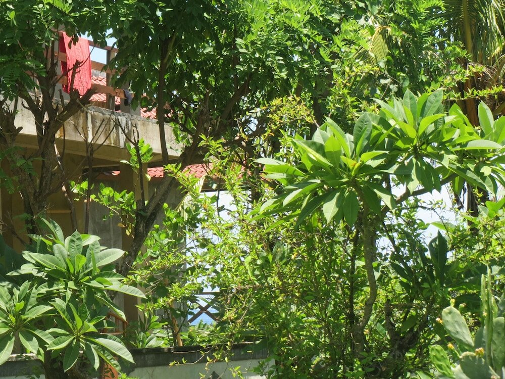 Фото Amed Sari Beach Guesthouse