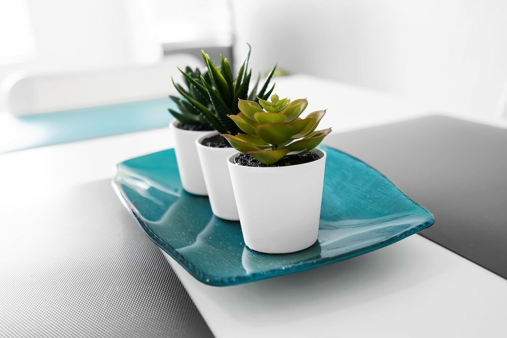 Фото The Blue House Fort Lauderdale