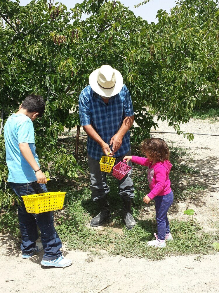 Фото Vasilopoulos House