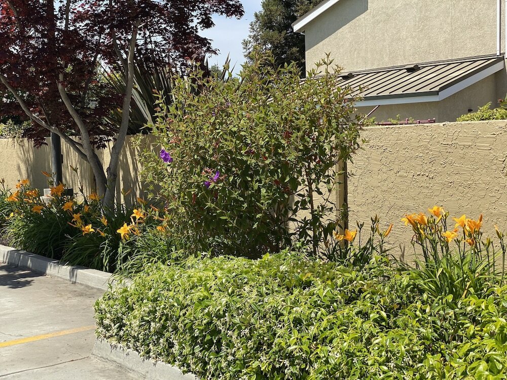 Фото Holiday Inn Express Redwood City-Central, an Ihg Hotel