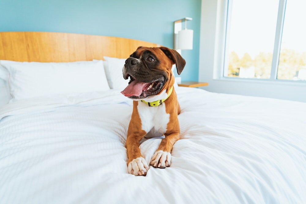 Фото Residence Inn Providence Coventry