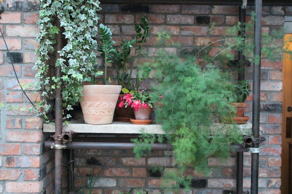 Фото 127966546114