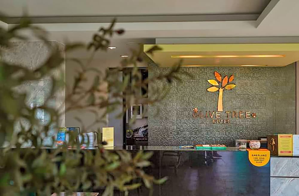 Фото Olive Tree Hotel