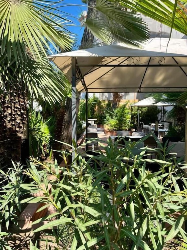 Фото Hotel Brown