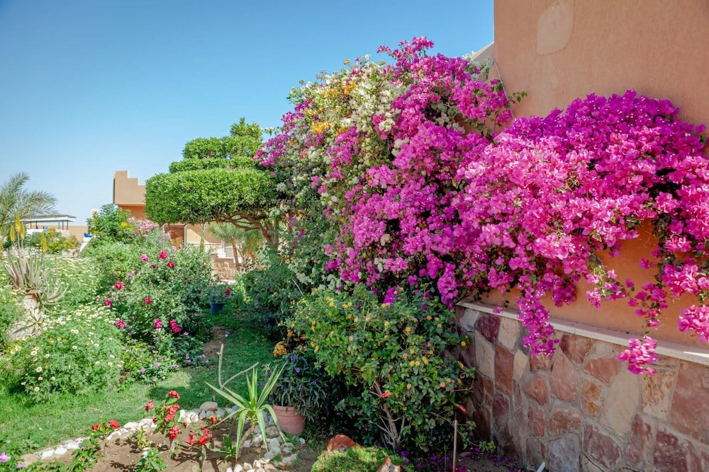 Фото Silver Beach El Quseir