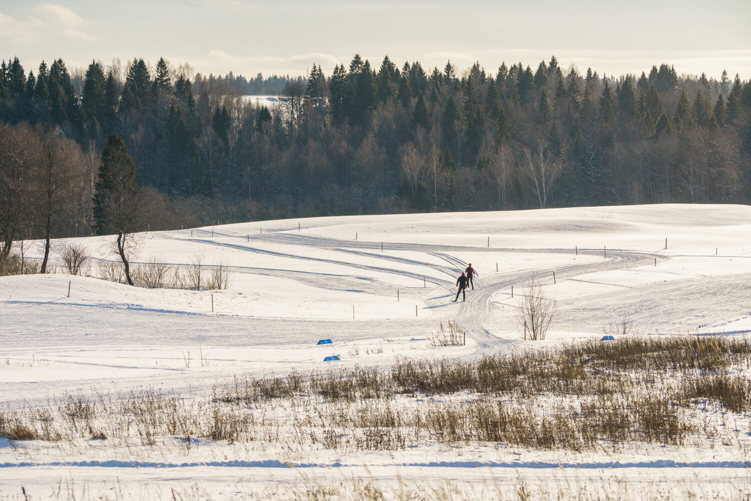 Фото Форест Хиллс
