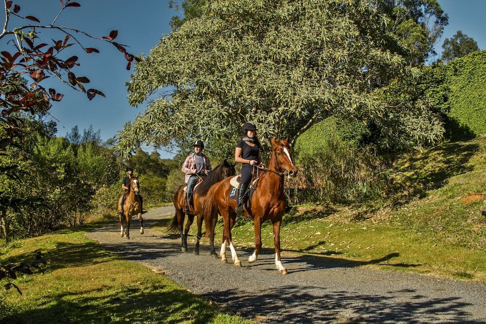 Фото Botanique Hotel and SPA