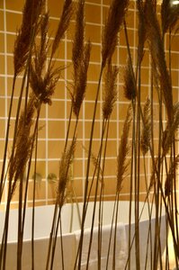 Гостиница Hotel Maison Soleil