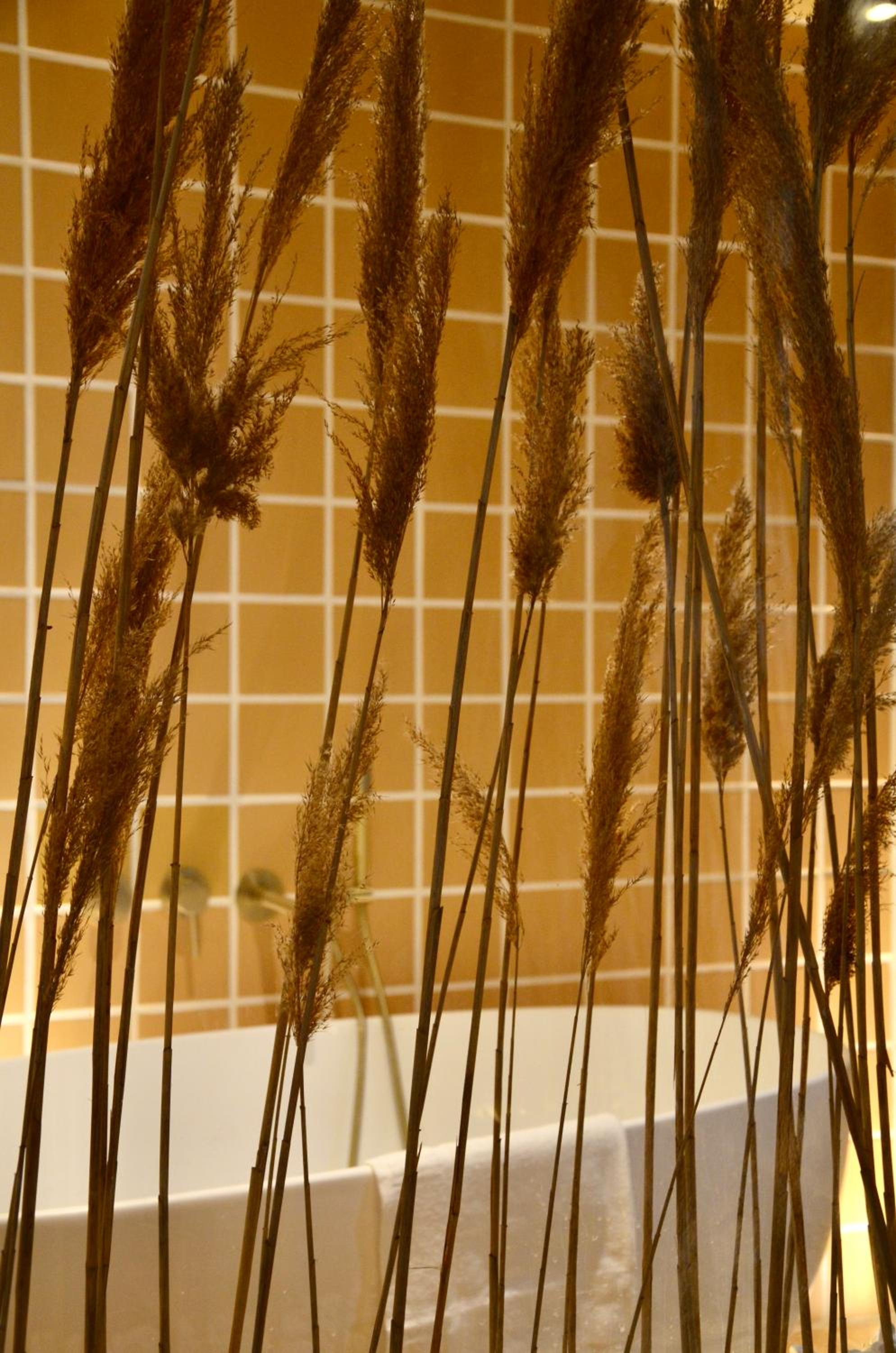 Фото Hotel Maison Soleil