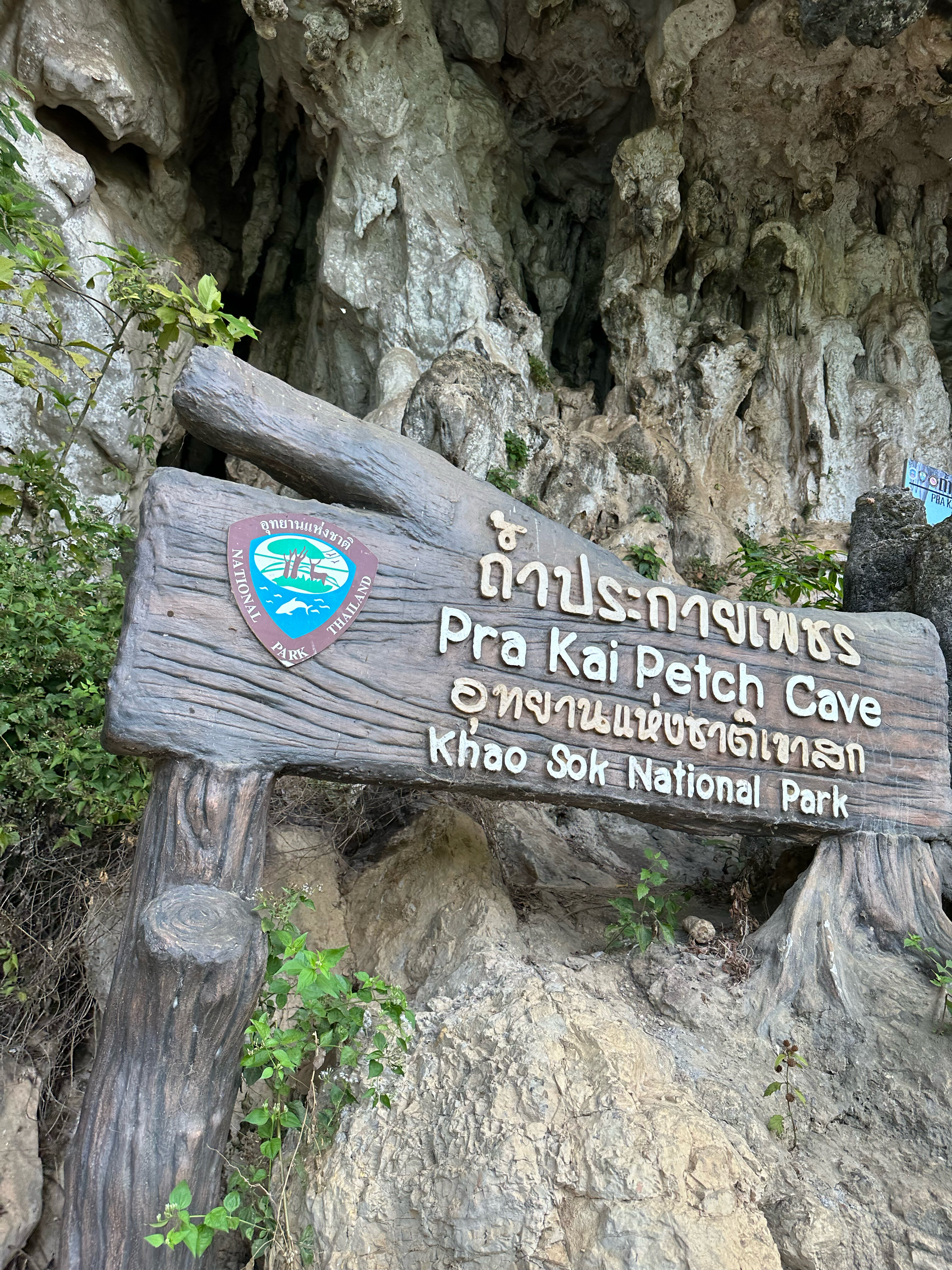 Фото Graceland Khaolak Beach Resort