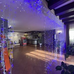 Фото Лесная