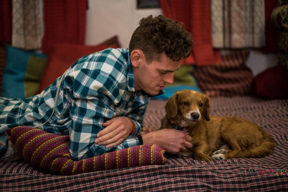 Фото The Madpackers Delhi