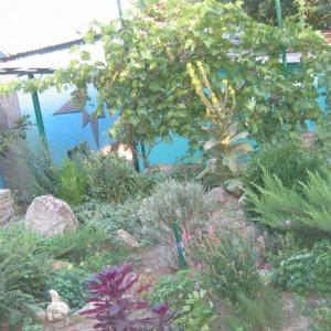 Фото Крымские Дачи