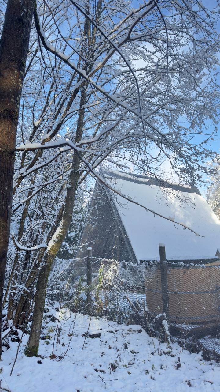 Фото Лисичкин дом