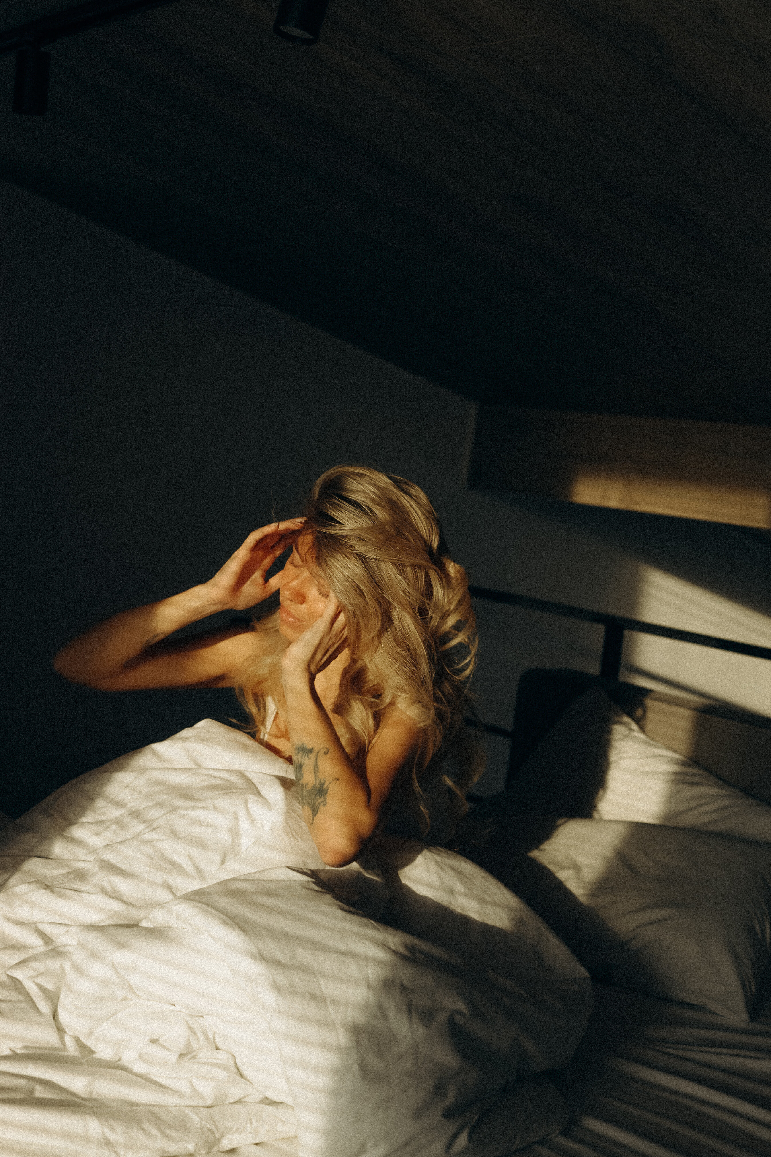 Фото Альпака