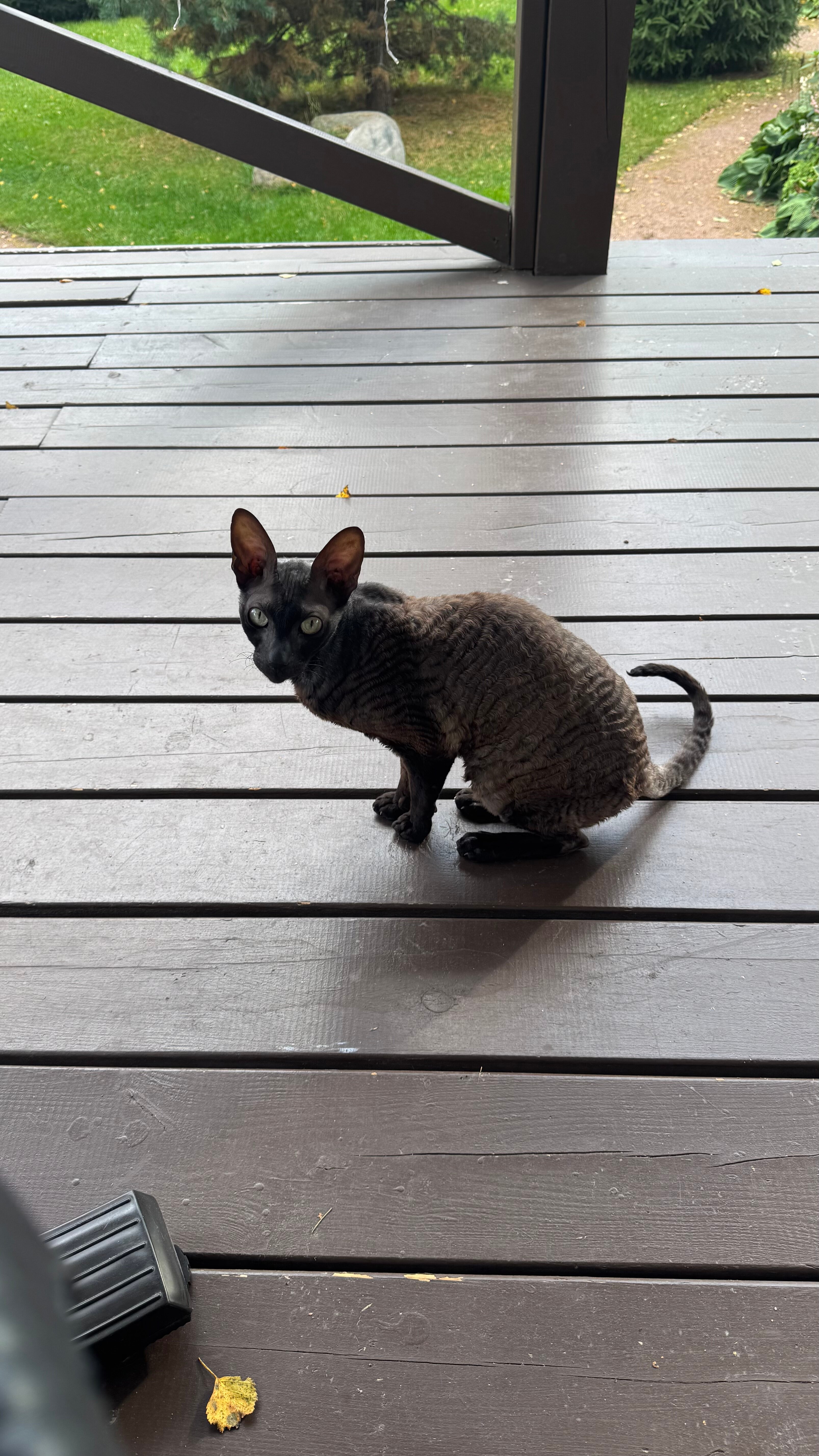 Фото Дом отдыха Зеркальный