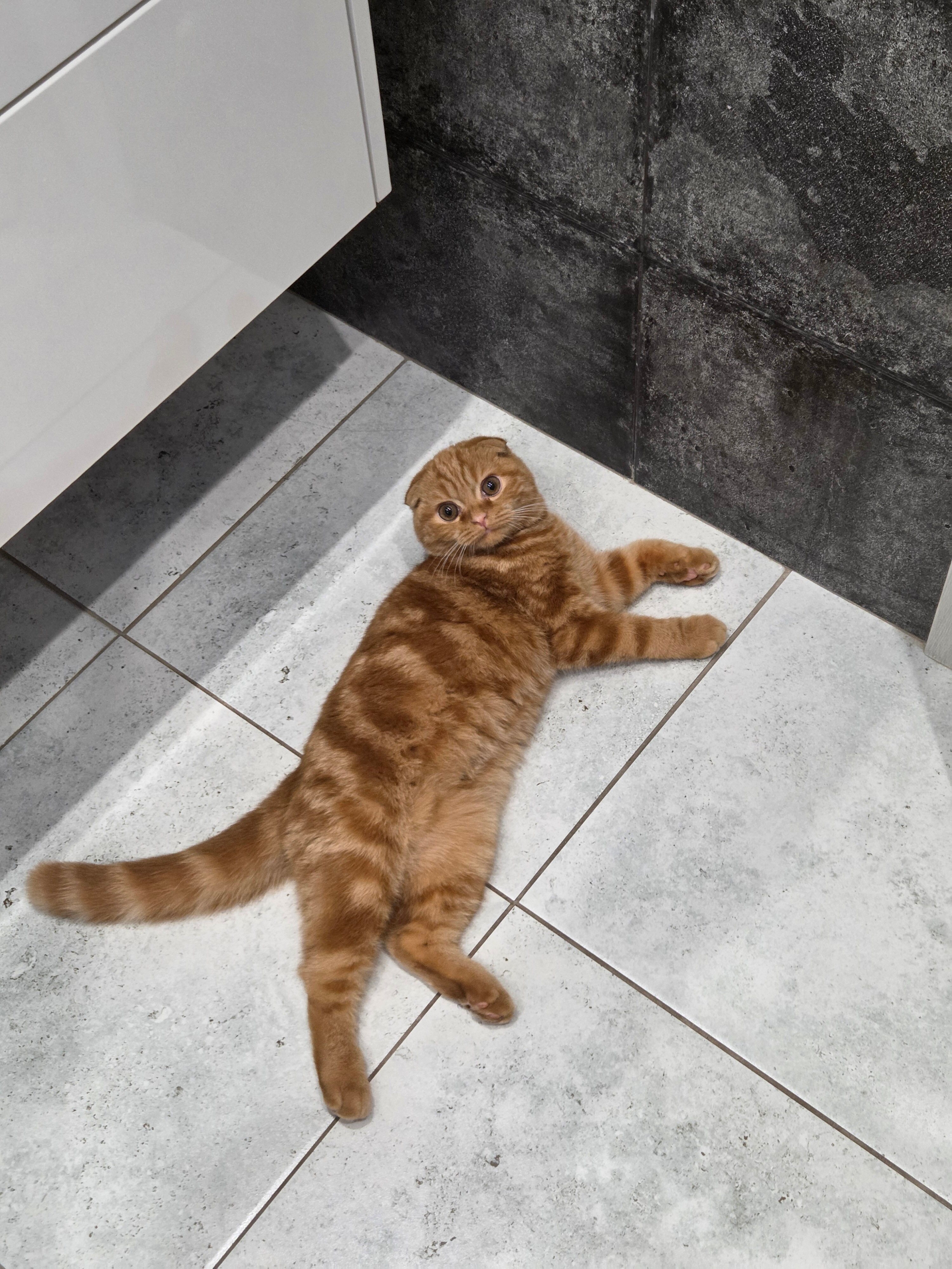 Фото Golden Sand