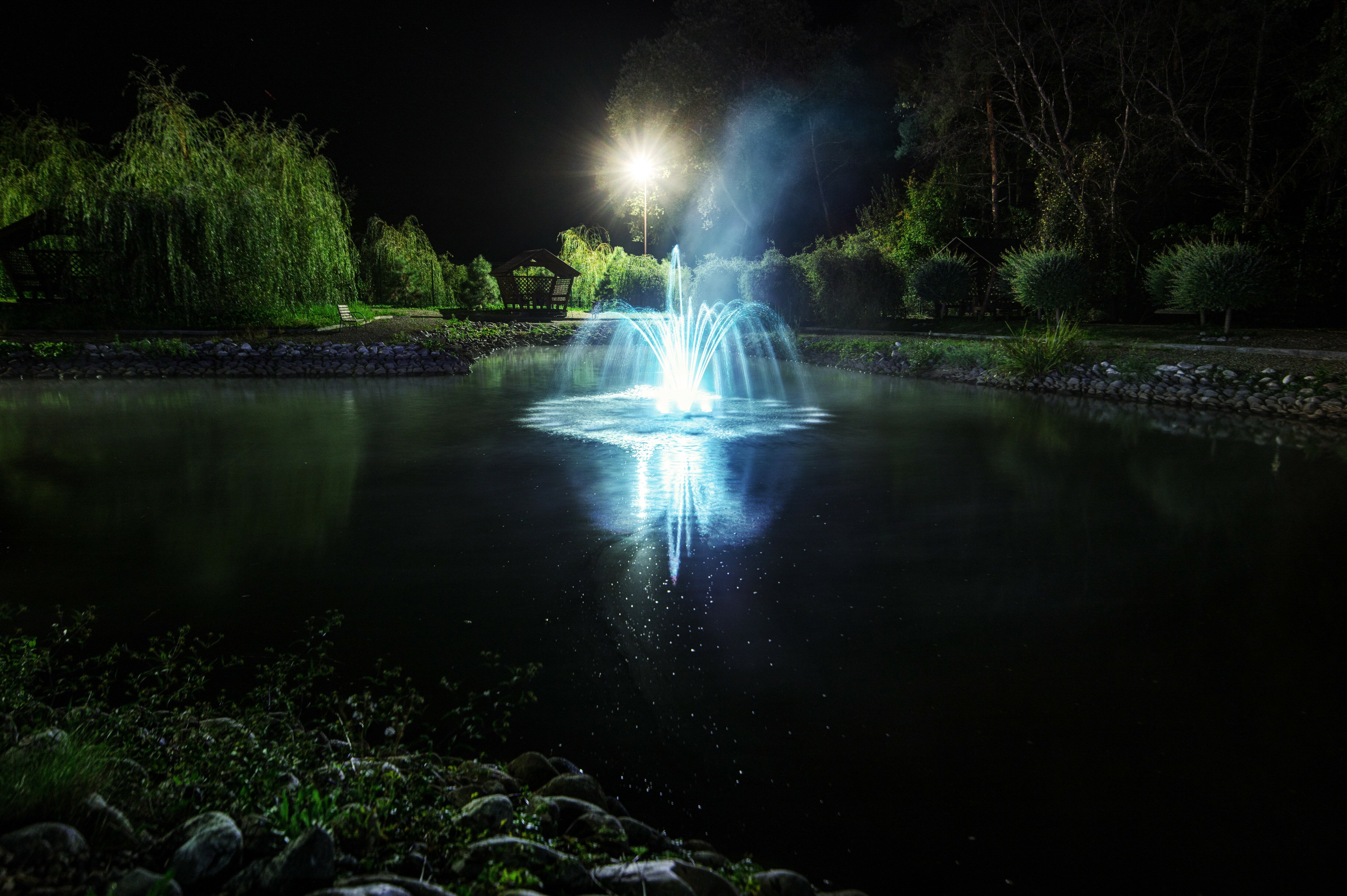 Фото Павлова поляна