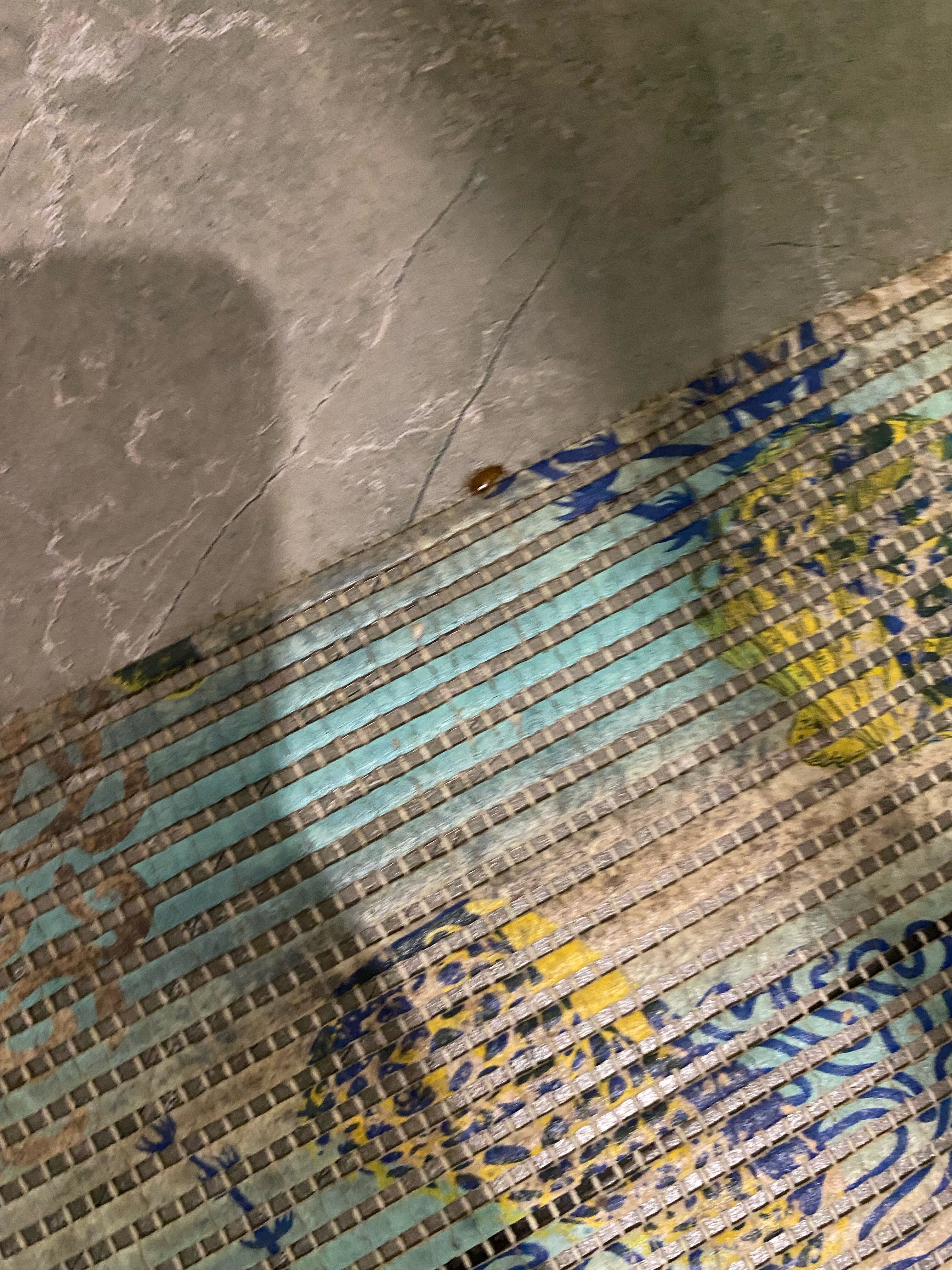 Фото Компас