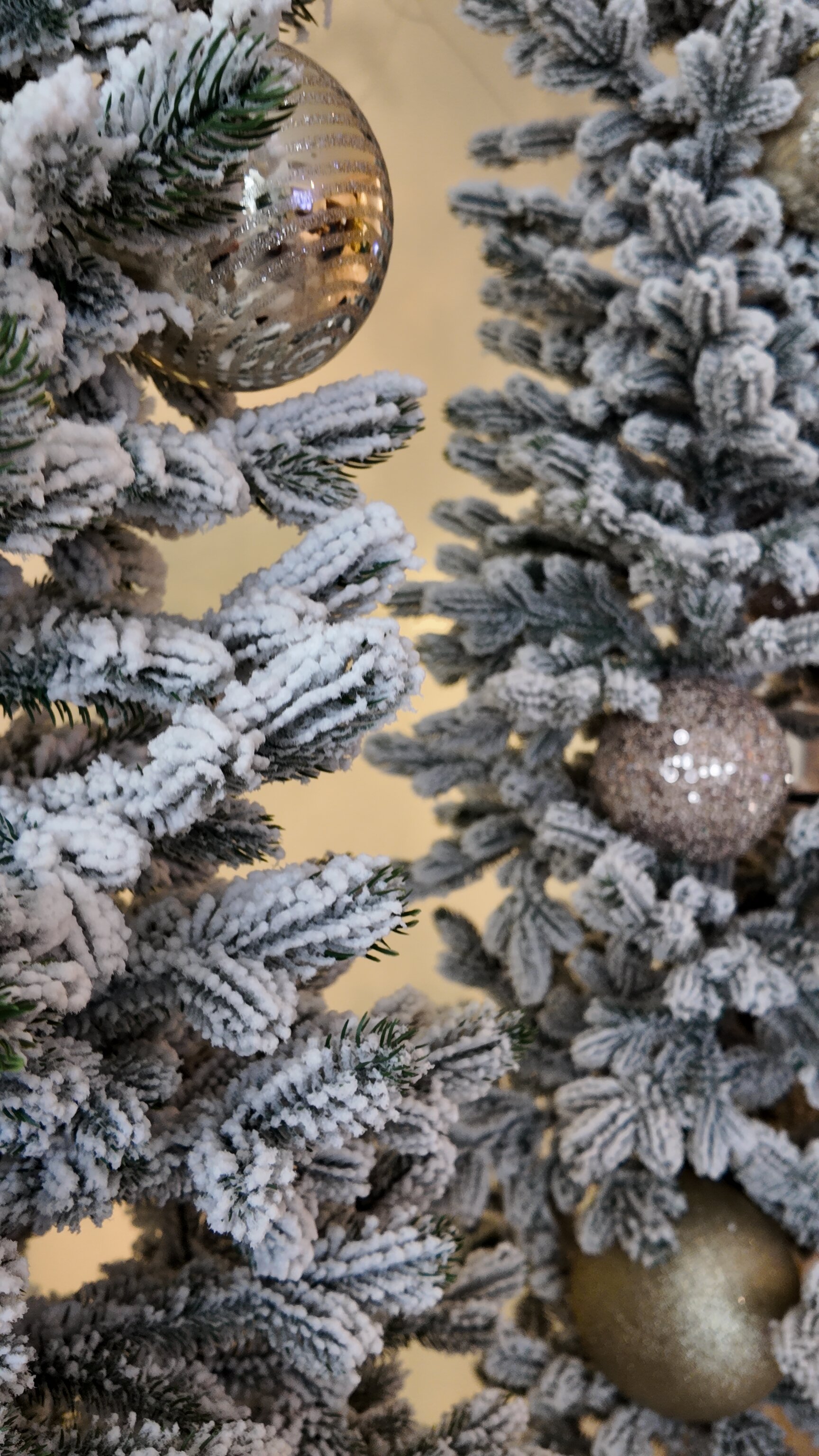 Фото Костас