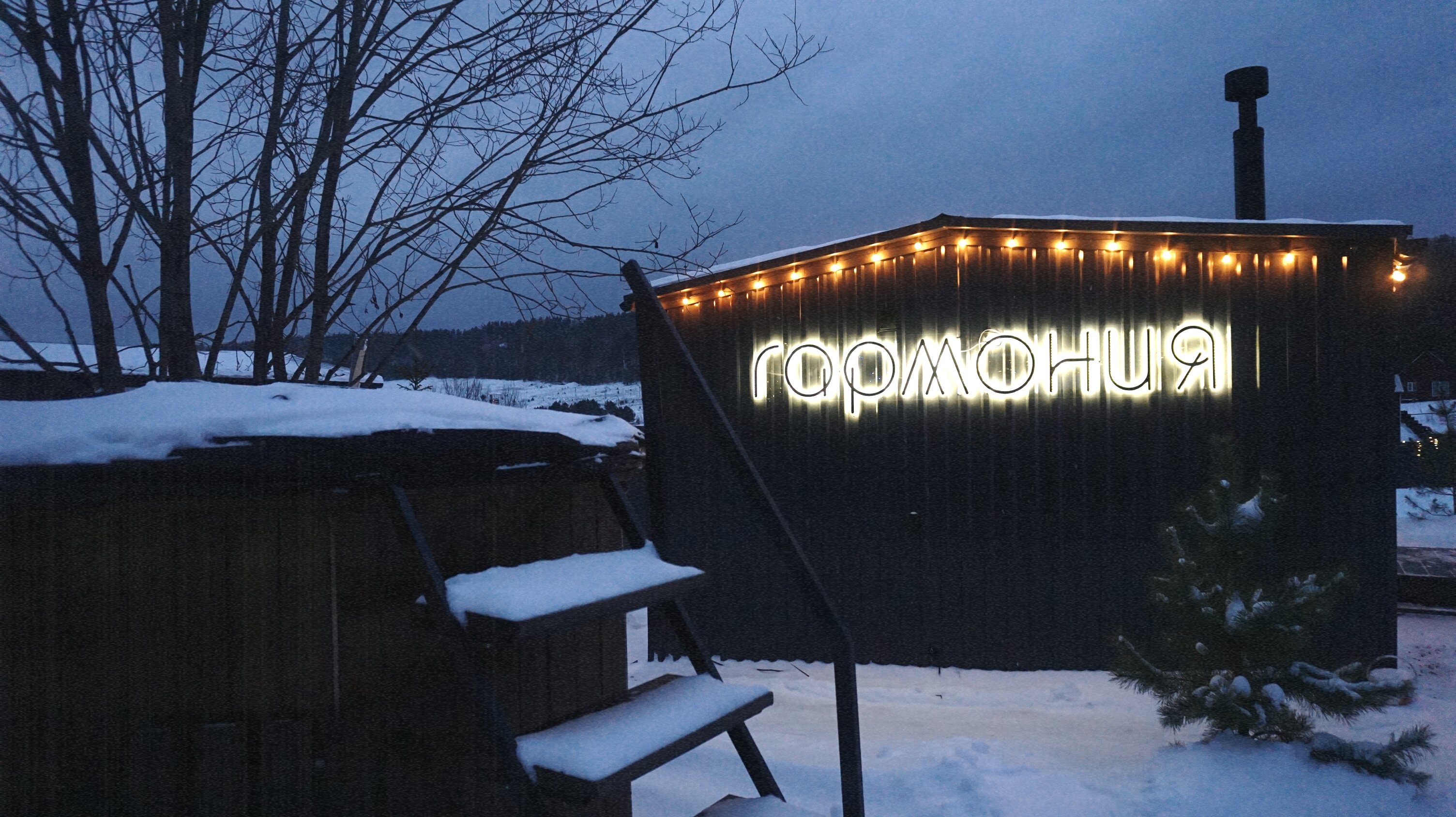 Фото Вдохновение природы