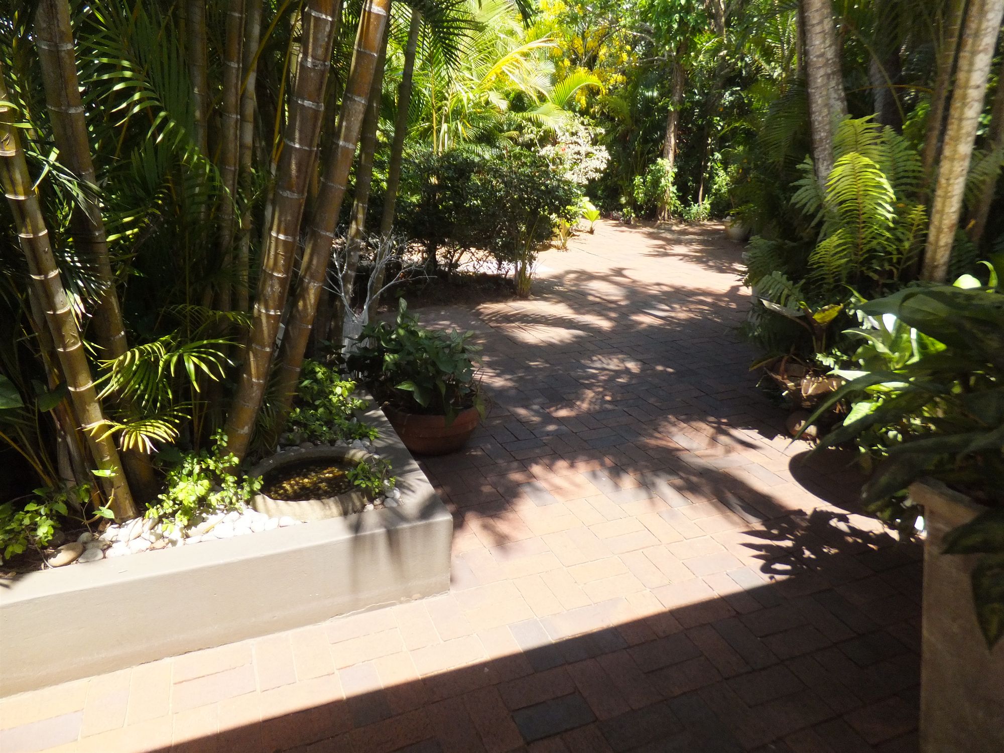 Фото St. Lucia Kingfisher Lodge