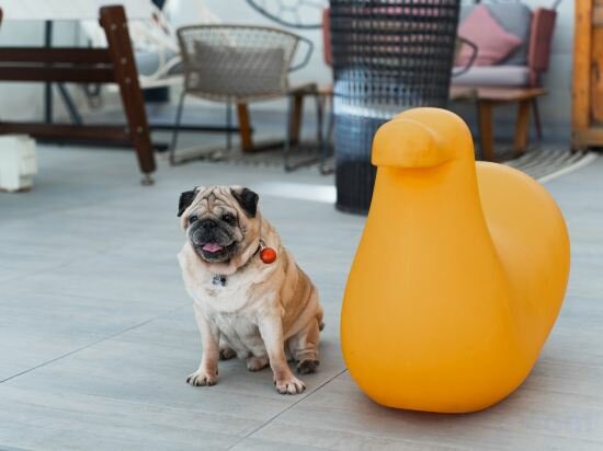 Фото Ibis Styles Barcelona City Bogatell