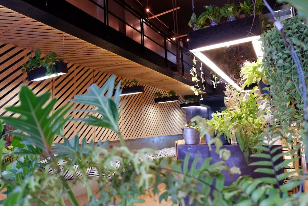 Фото Hugger Hostel - Adults Only