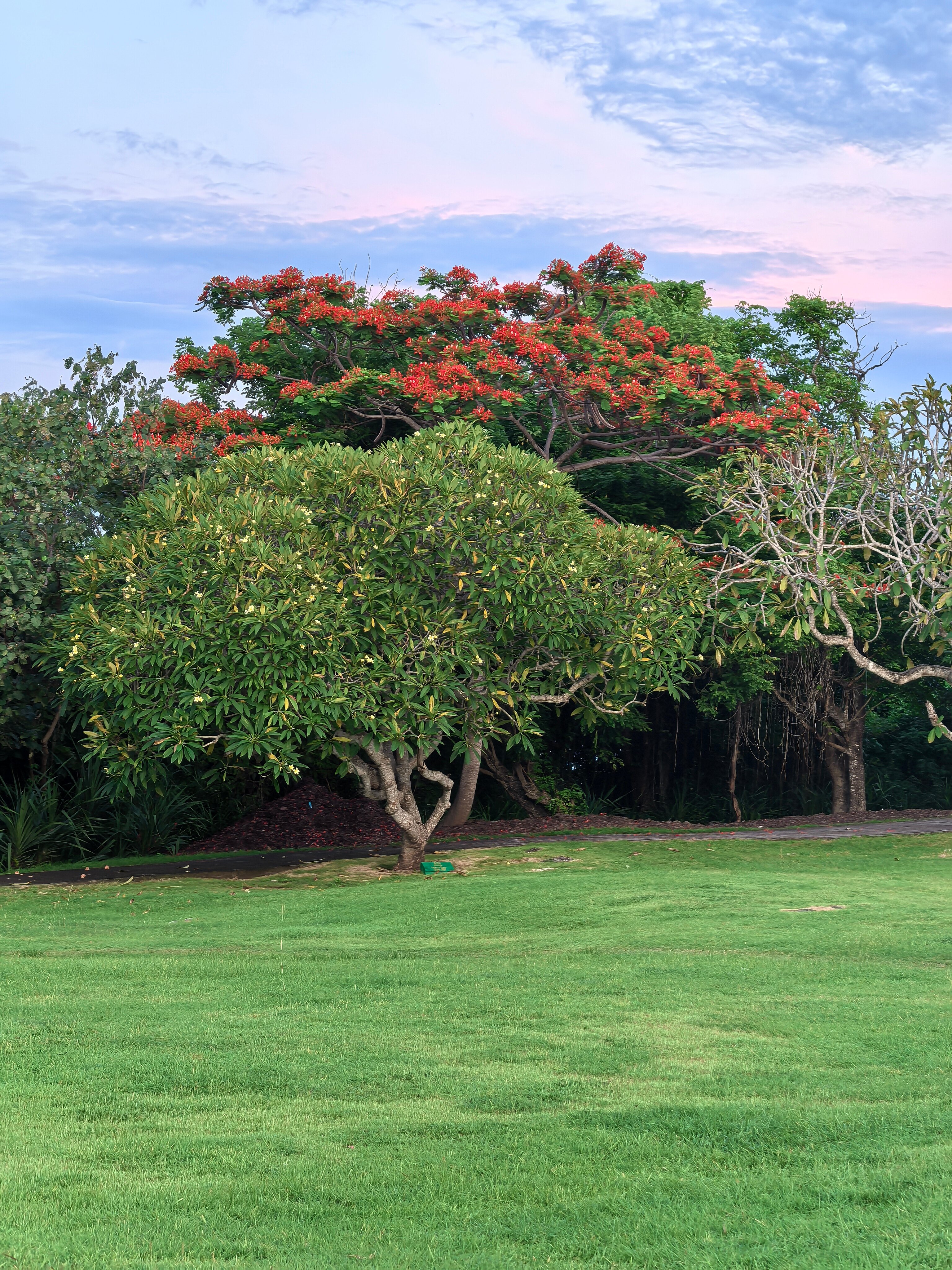 Фото Mercure Bali Nusa Dua