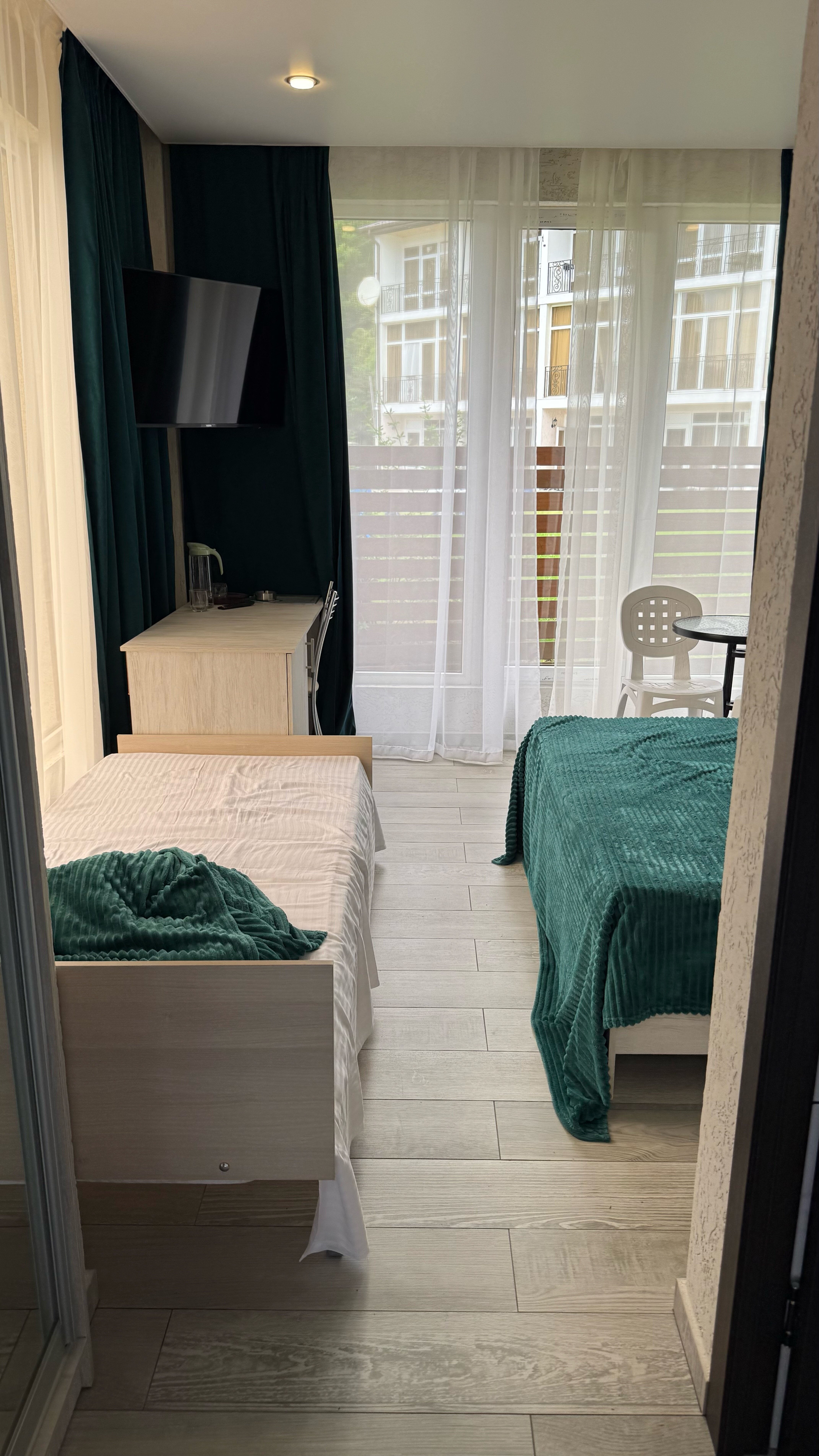 Фото Пальма