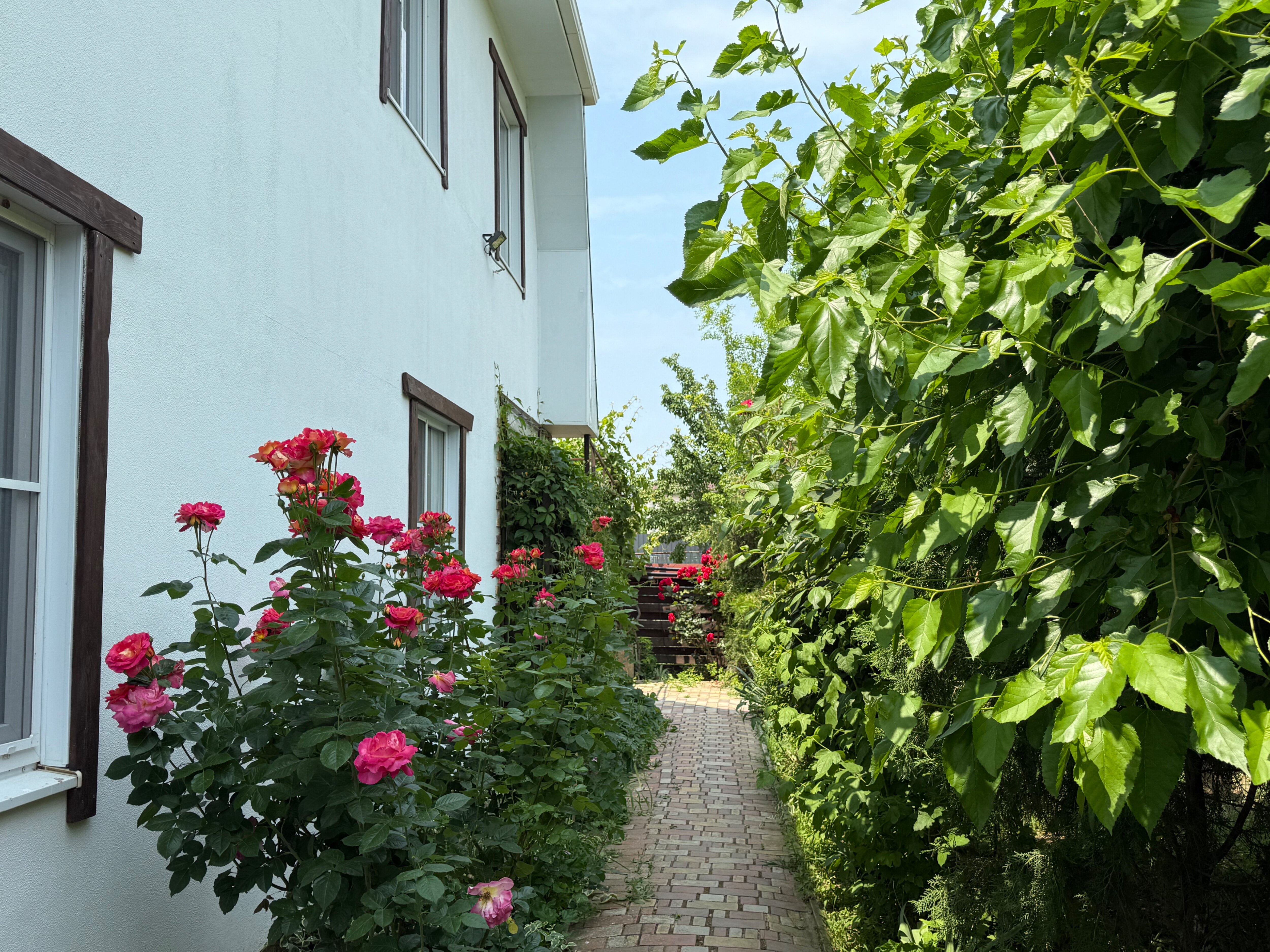 Фото Green House
