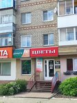 Salon-magazin Tsvety (ulitsa Mira, 10), flowers and bouquets delivery