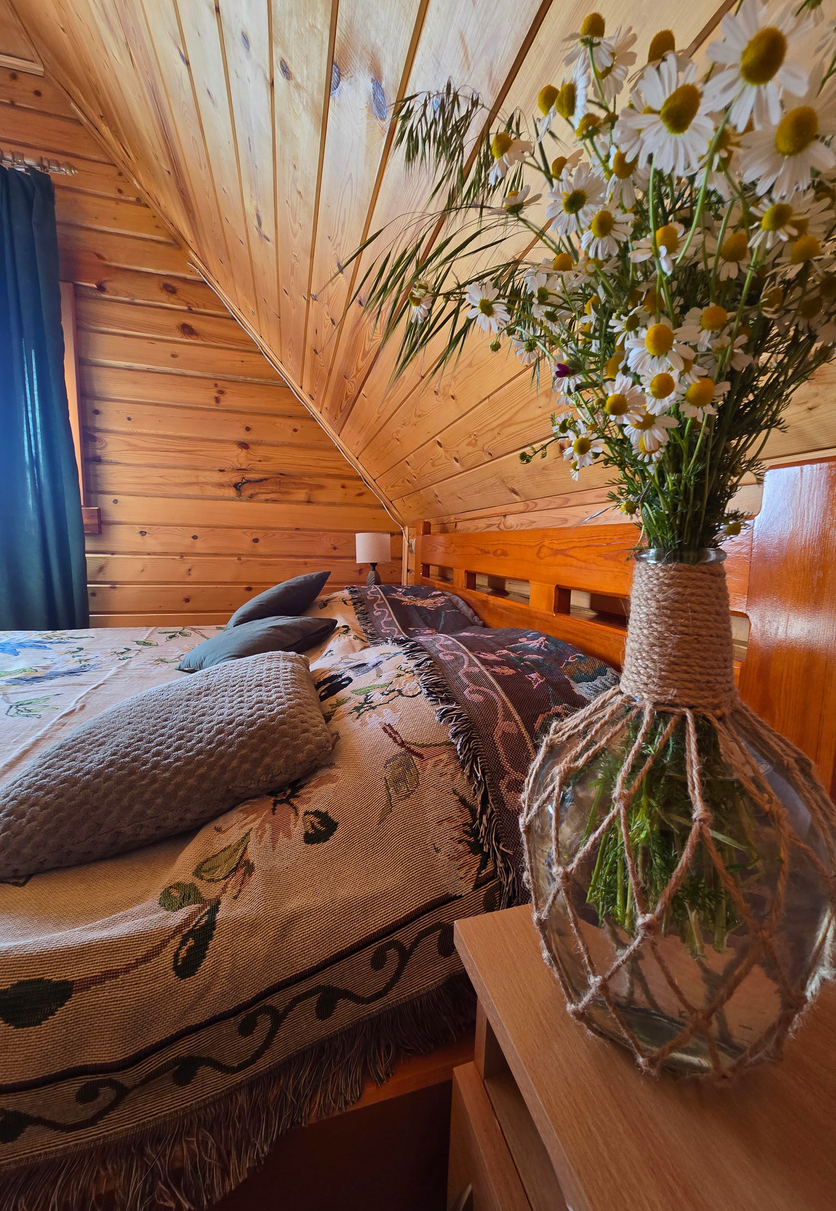 Фото База отдыха Лесная Дача