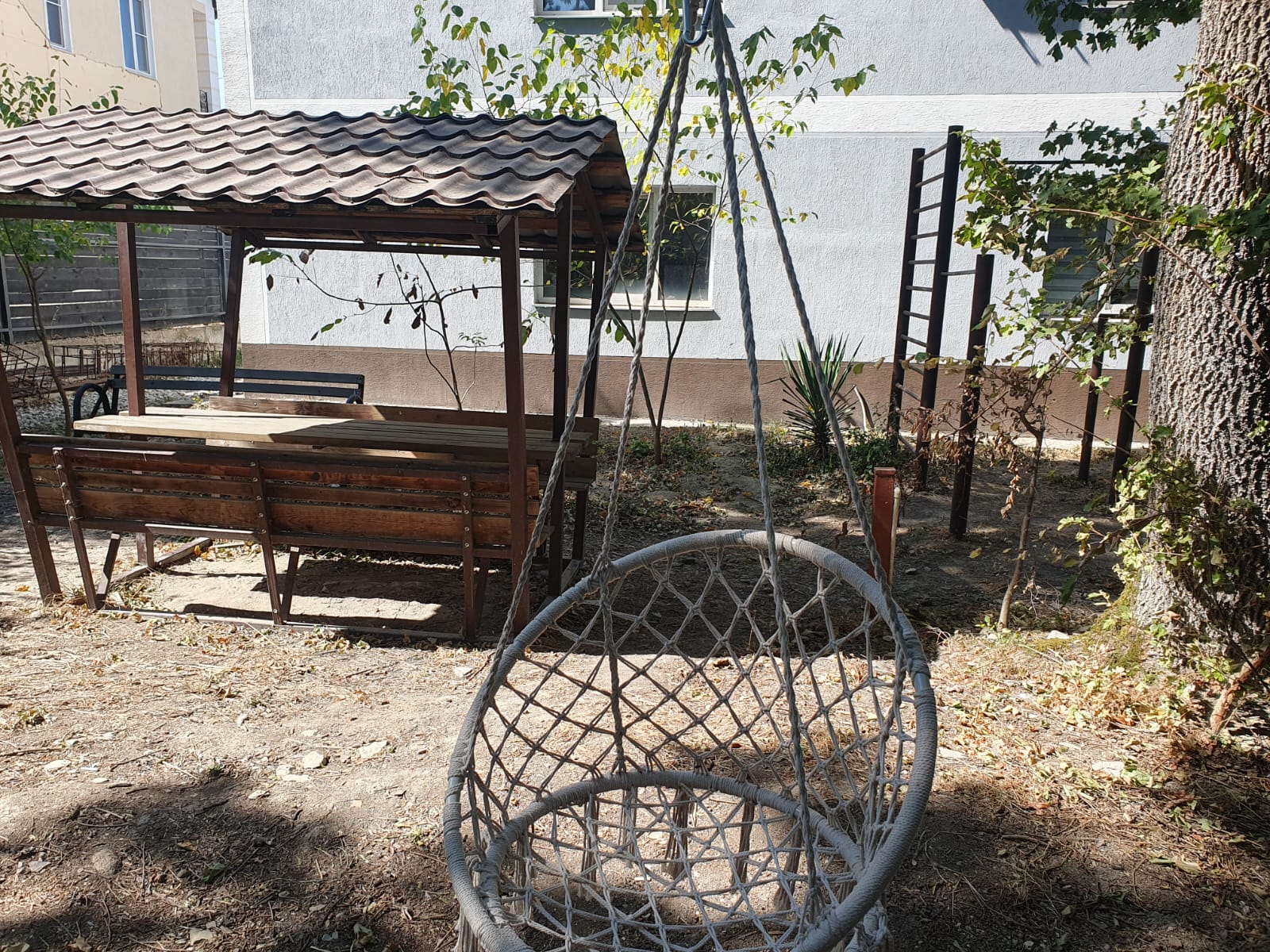 Фото Барсук