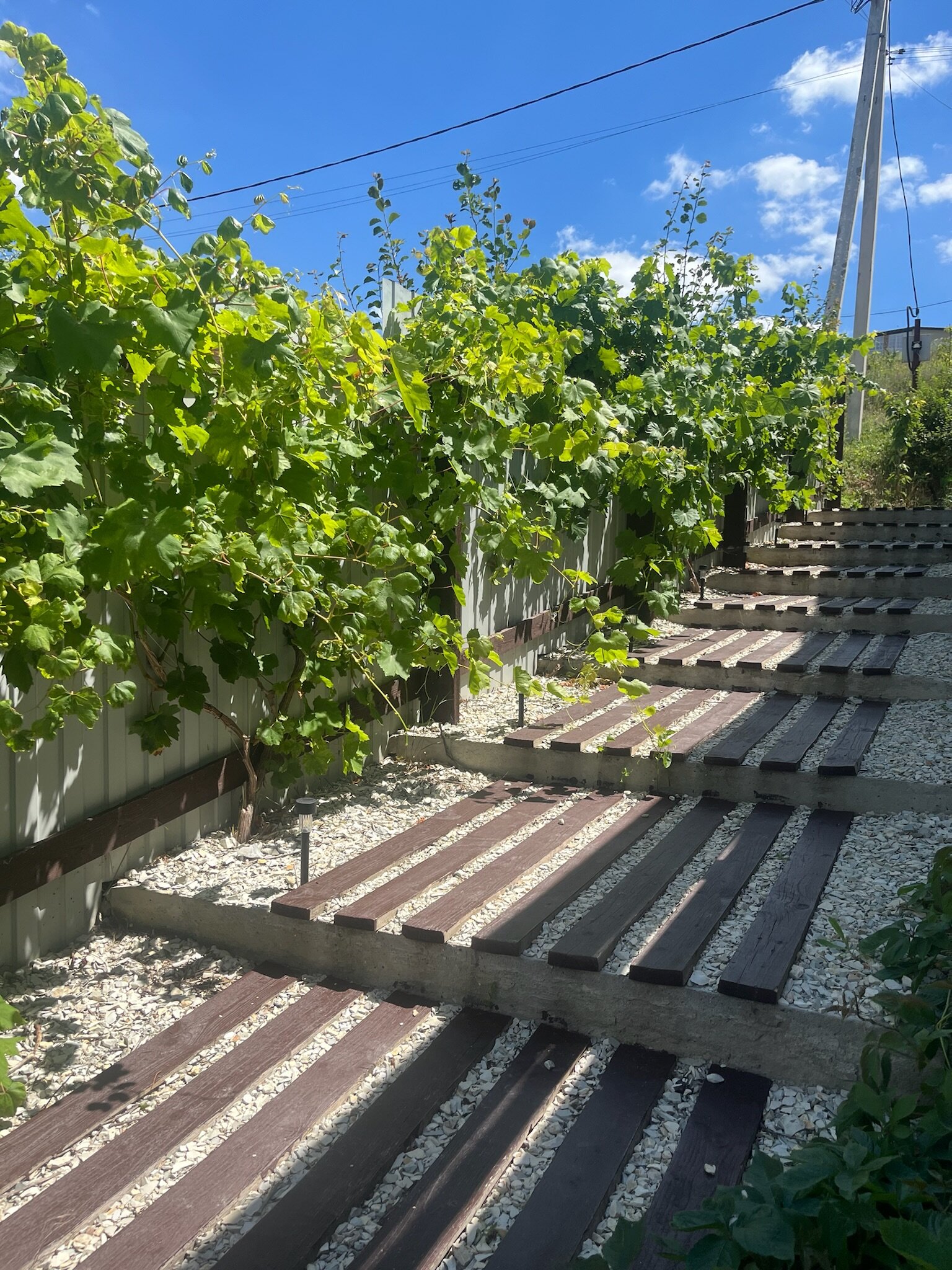 Фото Villa Palermo