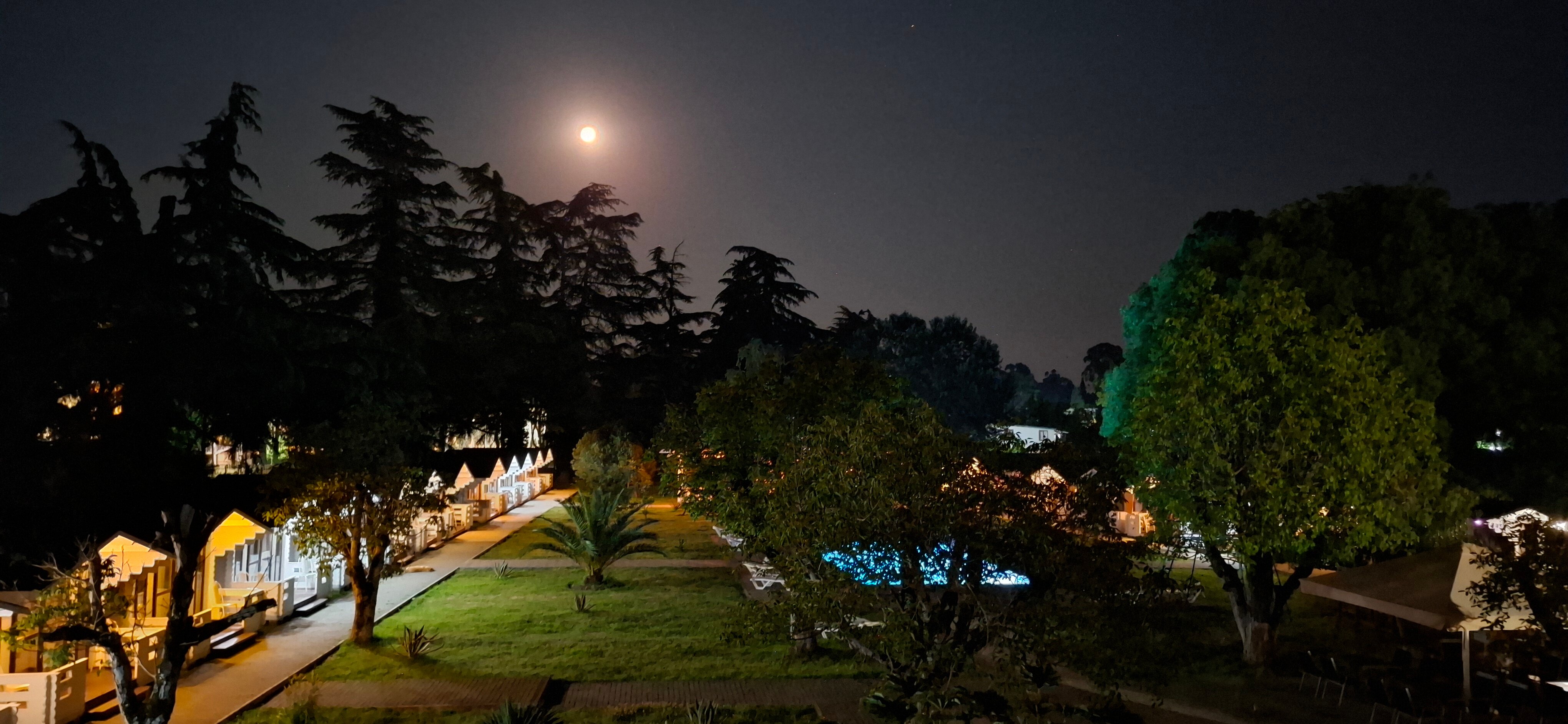 Фото Цитрус 1