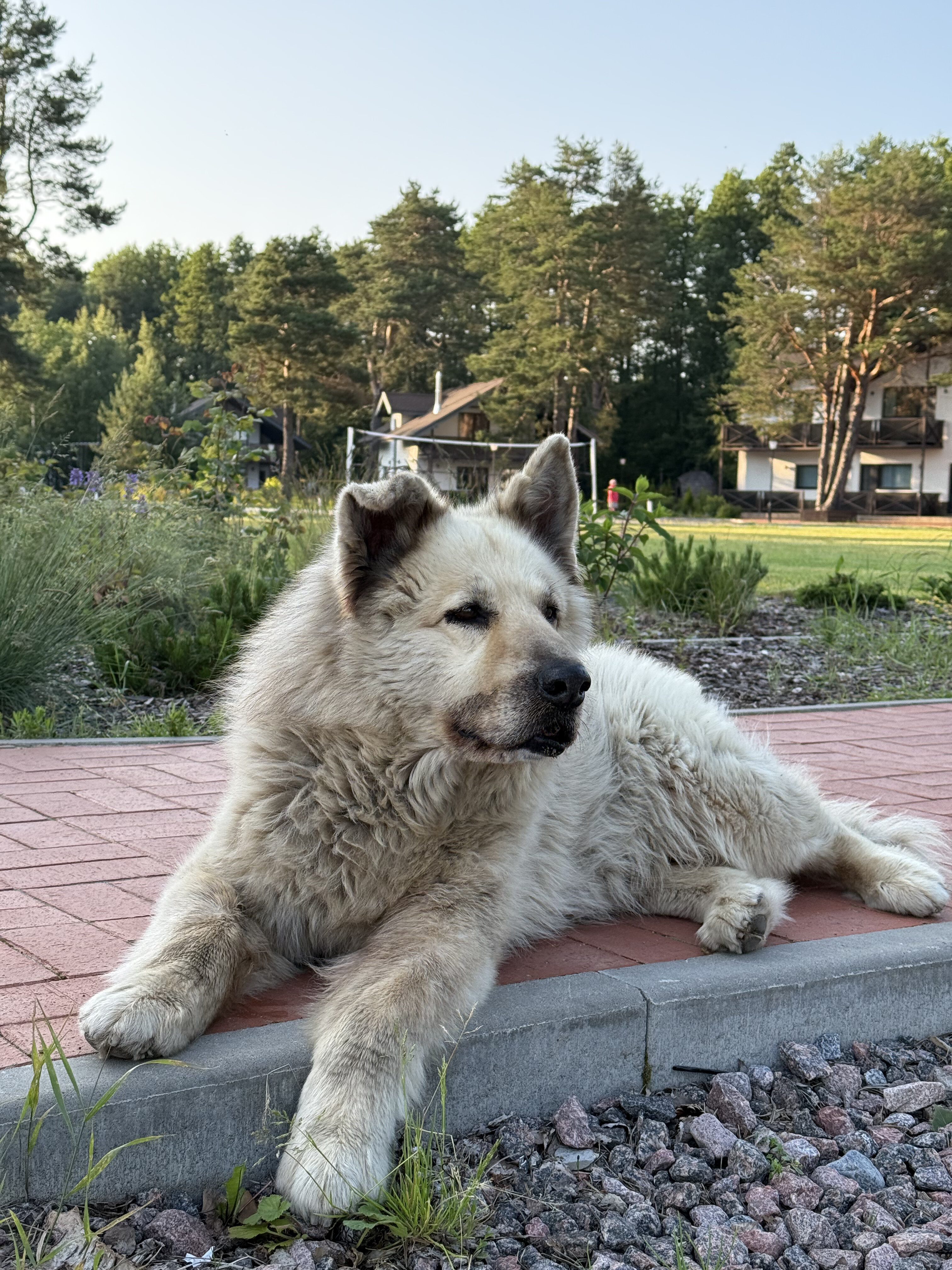 Фото Территория отдыха Hevaa