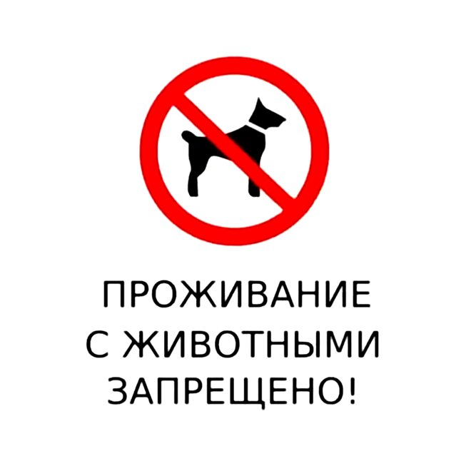 Фото ИнСуздаль