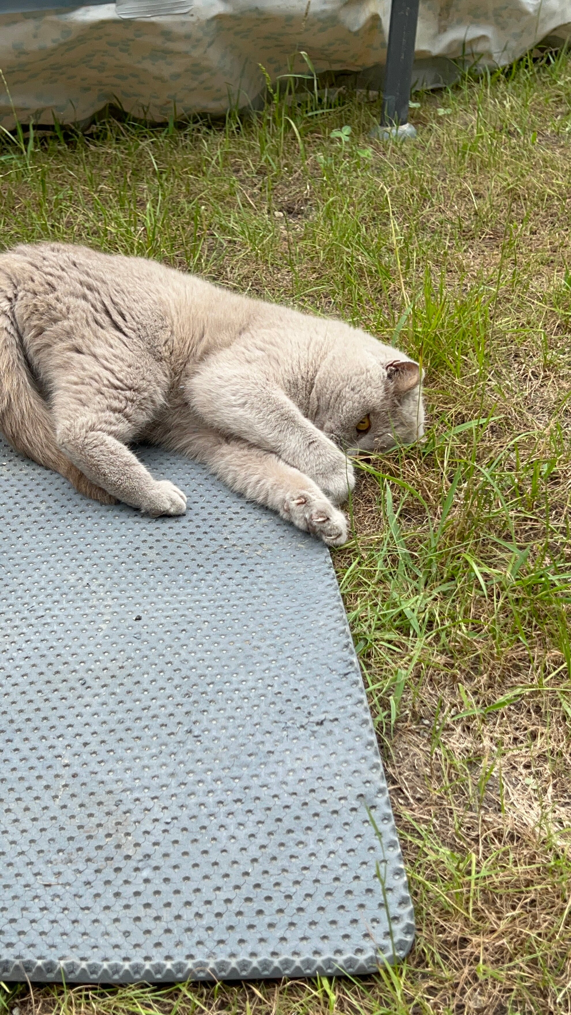 Фото At Relax House